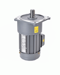 Gear Motor