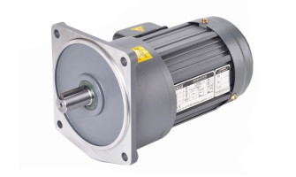 What is a Gear Motor?