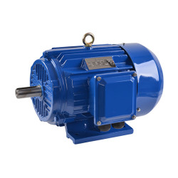 1 HP (0.75 kW) 3 Phase Induction Motor, 380V, 1500/3000rpm