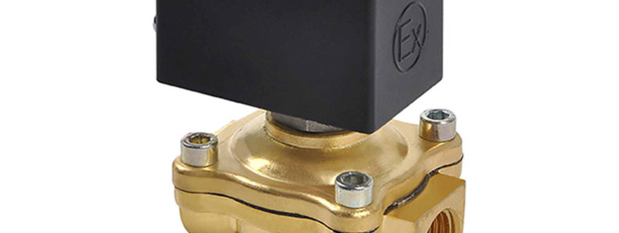 What Is Explosion Proof Solenoid Valve? Peaco Support Automation